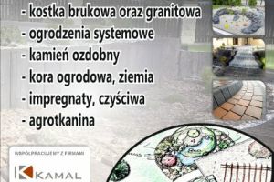 Przedsiębiorcy