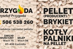 Przedsiębiorcy