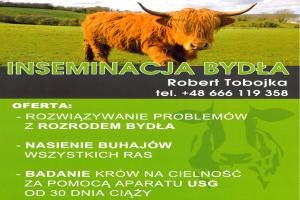 Tobojka Robert