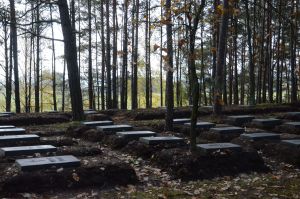 Zdjęcia z cmentarza w Kierzku