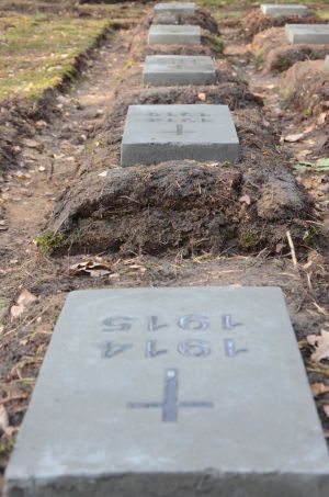 Zdjęcia z cmentarza w Kierzku