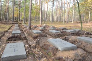 Zdjęcia z cmentarza w Kierzku