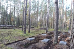 Zdjęcia z cmentarza w Kierzku