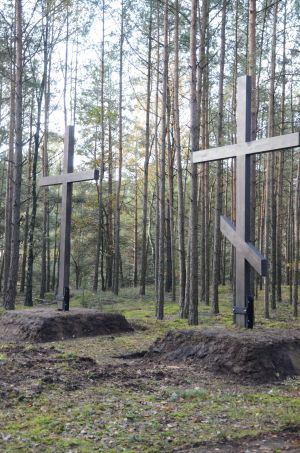 Zdjęcia z cmentarza w Kierzku