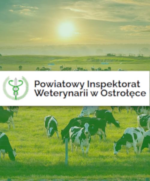 Informacja Powiatowego Lekarza Weterynarii w Ostrołęce